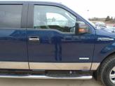 Thumbnail of 2013 BLUE Ford F-150