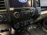 Thumbnail of 2020 Magnetic Metallic Ford F-150