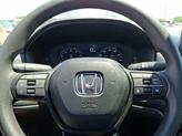 Thumbnail of 2025 Platinum White Pearl   Wx Honda Accord