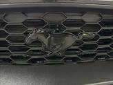 Thumbnail of 2022 Shadow Black Ford Mustang