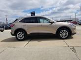 Thumbnail of 2021 Desert Gold Metallic Ford Escape