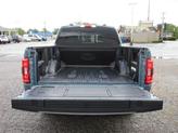 Thumbnail of 2023 Heritage Ford F-150