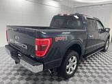 Thumbnail of 2021 Blue Ford F-150