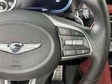 Thumbnail of 2023 Uyuni White Genesis G70