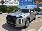 Photo of 2025 Typhoon Silver Hyundai PALISADE