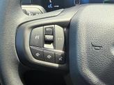 Thumbnail of 2025 Gray Ford Ranger