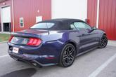 Thumbnail of 2019 Kona Blue Metallic Ford Mustang