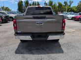 Thumbnail of 2023 Stone Gray Metallic Ford F-150
