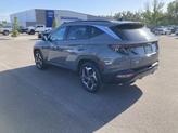 Thumbnail of 2024 Hampton Gray Hyundai TUCSON