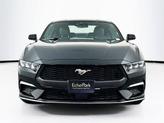 Thumbnail of 2024 Shadow Black Ford Mustang