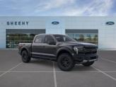 Photo of 2025 Black Metallic Ford F-150