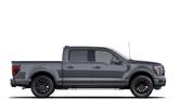 Thumbnail of 2025 Gray Ford F-150
