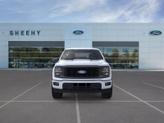 Thumbnail of 2025 Oxford White Ford F-150