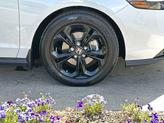 Thumbnail of 2025 Platinum White Pearl Honda Accord