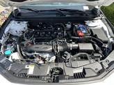 Thumbnail of 2025 Platinum White Pearl Honda Accord