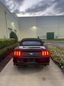 Thumbnail of 2017 Shadow Black Ford Mustang