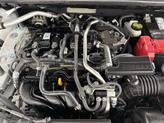 Thumbnail of 2020 Cloud White Nissan Sentra