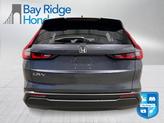 Thumbnail of 2026 Meteorite Honda CR-V