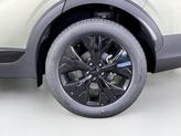 Thumbnail of 2025 Jungle Green Kia Sportage