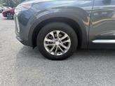 Thumbnail of 2020 Rainforest Hyundai SANTA FE