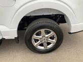 Thumbnail of 2025 Oxford White Ford F-150