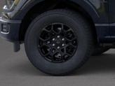 Thumbnail of 2025 Agate Black Metallic Ford F-150