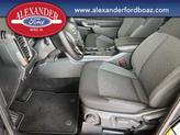 Thumbnail of 2025 Shadow Black Ford Ranger