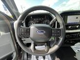 Thumbnail of 2023 Stone Gray Metallic Ford F-150
