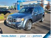 Photo of 2010 Steel Blue Metallic Ford Escape