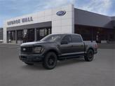 Photo of 2025 Black Metallic Ford F-150