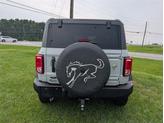 Thumbnail of 2023 Cactus Green / Gray Ford Bronco