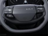 Thumbnail of 2025 Panthera Metal Kia EV6