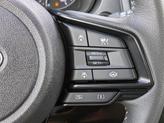 Thumbnail of 2025 Riverrock Green Subaru Forester
