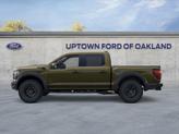 Thumbnail of 2025 Shelter Green Ford F-150