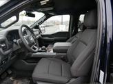 Thumbnail of 2025 Blue Ford F-150