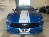 Thumbnail of 2019 Blue Ford Mustang