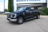 Thumbnail of 2022 Antimatter Blue Metallic Ford F-150