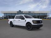 Thumbnail of 2025 Oxford White Ford F-150