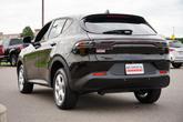 Thumbnail of 2023 8 Ball Dodge Hornet