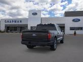 Thumbnail of 2025 Agate Black Metallic Ford F-150