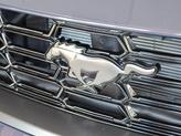 Thumbnail of 2024 Blue Ford Mustang
