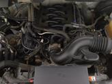 Thumbnail of 2011 Golden Bronze Metallic Ford F-150