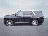 Thumbnail of 2021 Black Raven Cadillac Escalade