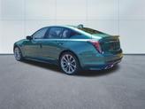 Thumbnail of 2026 Typhoon Metallic Cadillac CT5
