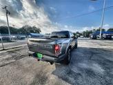 Thumbnail of 2019 MAGNETIC Ford F-150