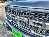 Thumbnail of 2019 MAGNETIC Ford F-150