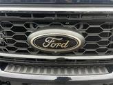 Thumbnail of 2022 Dark Moss Kia Telluride