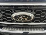 Photo of 2022 Dark Moss Kia Telluride