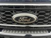 Thumbnail of 2022 Dark Moss Kia Telluride