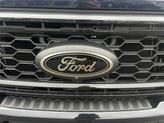 Thumbnail of 2022 Dark Moss Kia Telluride